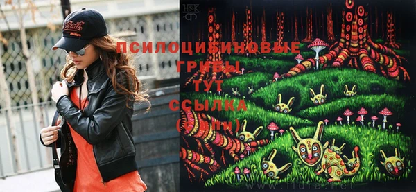 стаф Белоозёрский