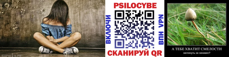 Купить закладки Верхоянск Псилоцибиновые грибы Psilocybe